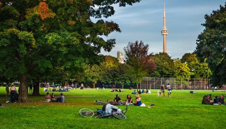 Demographic Marketing Sheet