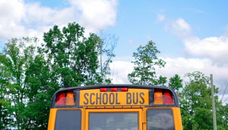 Demographic Marketing Sheet